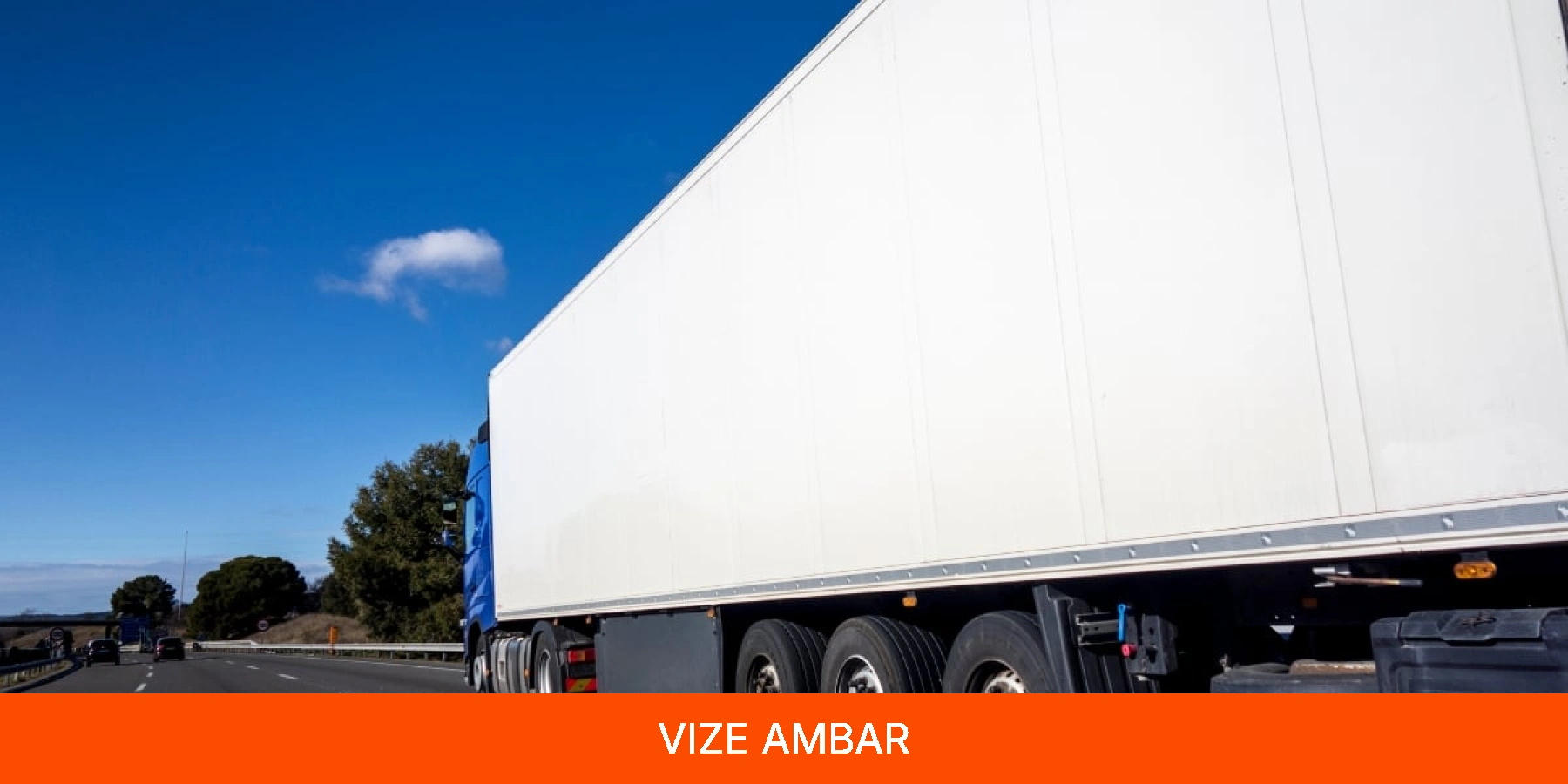 Vize Ambar