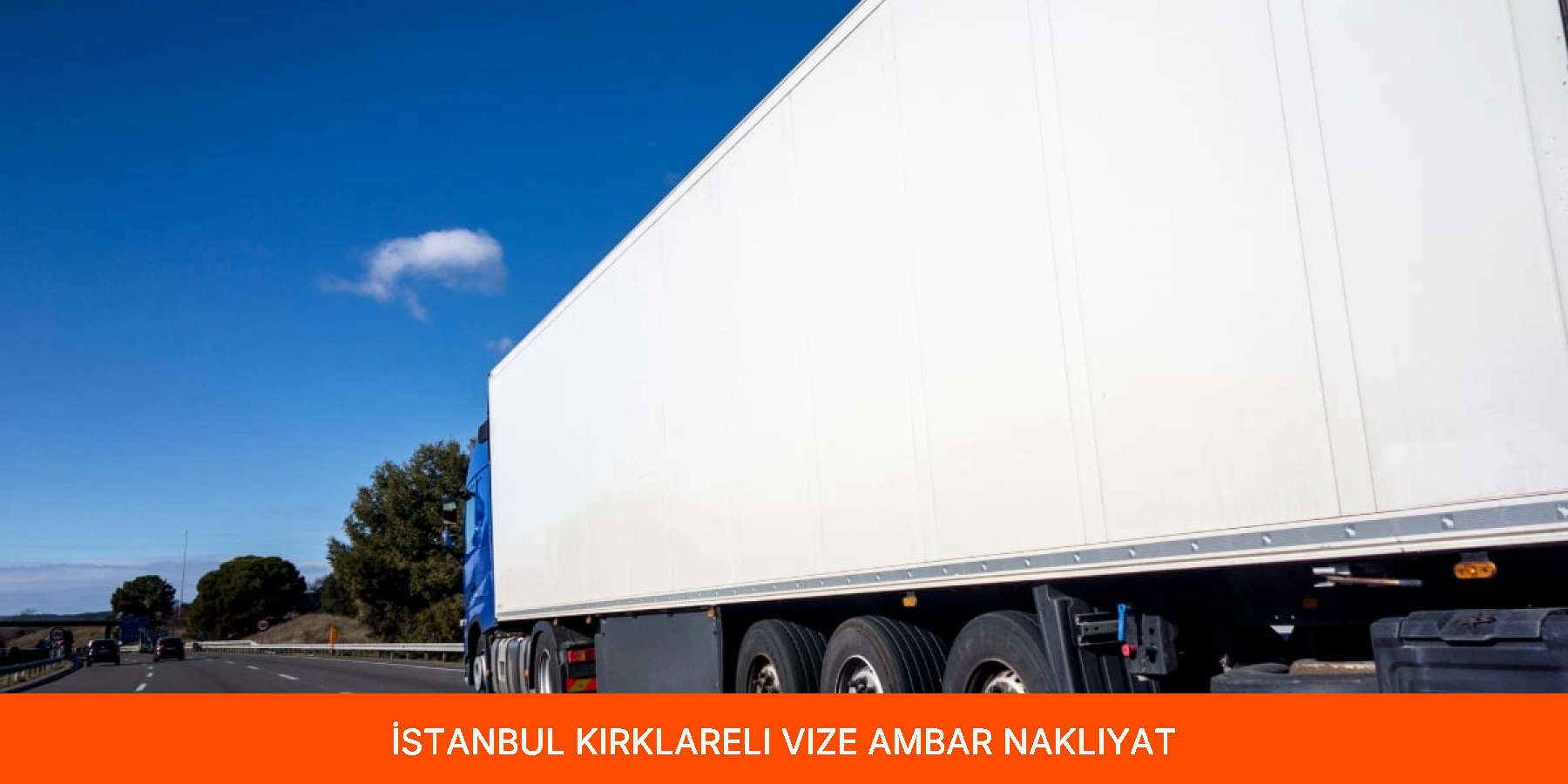 Vize Ambar
